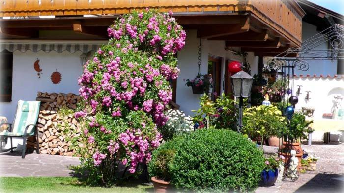 Apartament Regina Garmisch-Partenkirchen Zewnętrze zdjęcie